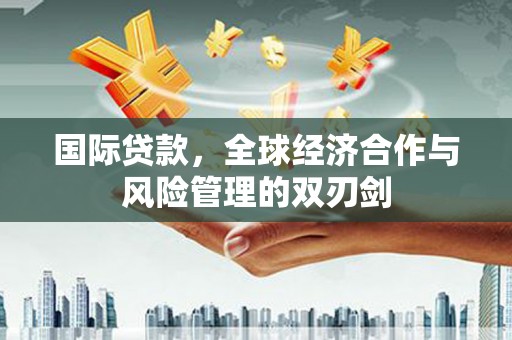 蒲县国际贷款，全球经济合作与风险管理的双刃剑