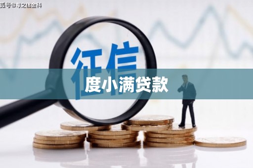 蒲县度小满贷款