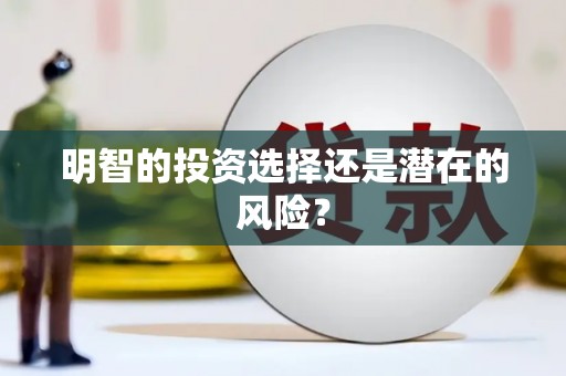 蒲县明智的投资选择还是潜在的风险？