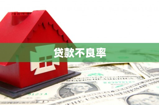 蒲县贷款不良率