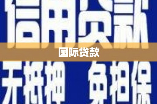 蒲县国际贷款