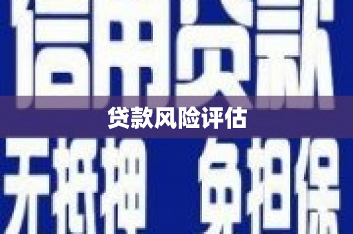 蒲县贷款风险评估
