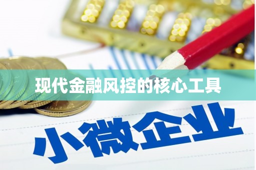 蒲县现代金融风控的核心工具