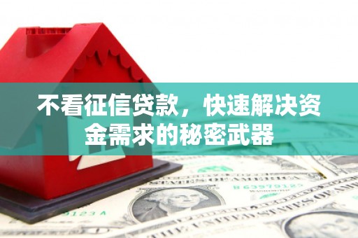 蒲县不看征信贷款，快速解决资金需求的秘密武器