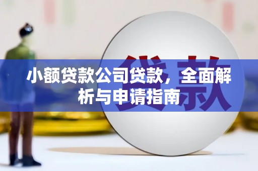 蒲县小额贷款公司贷款，全面解析与申请指南