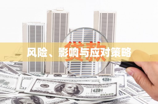 蒲县风险、影响与应对策略