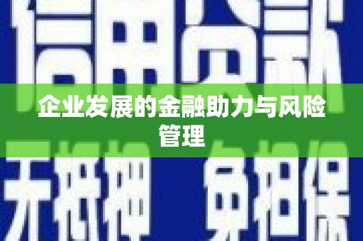 蒲县企业发展的金融助力与风险管理