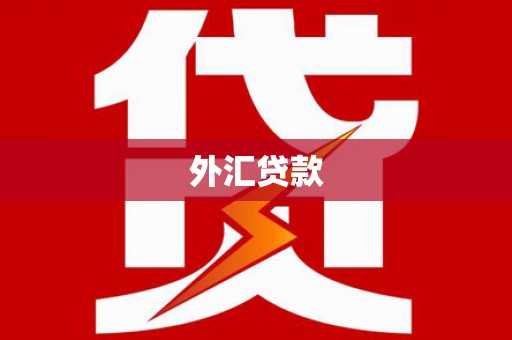 蒲县外汇贷款