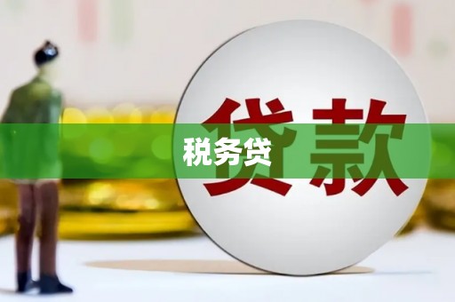 蒲县税务贷