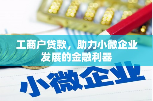 蒲县工商户贷款，助力小微企业发展的金融利器
