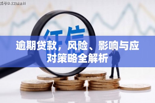 蒲县逾期贷款，风险、影响与应对策略全解析