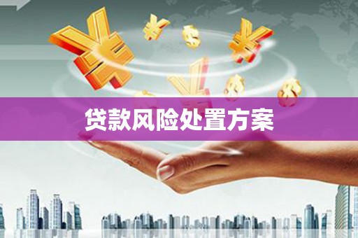 蒲县贷款风险处置方案