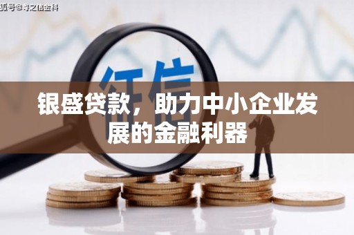 蒲县银盛贷款，助力中小企业发展的金融利器