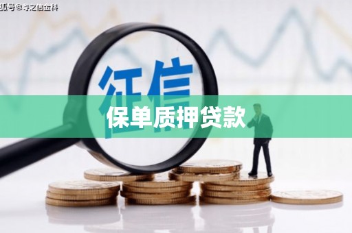 蒲县保单质押贷款