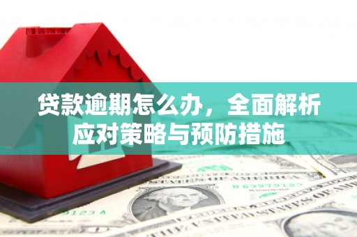 蒲县贷款逾期怎么办，全面解析应对策略与预防措施