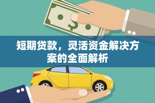 蒲县短期贷款，灵活资金解决方案的全面解析