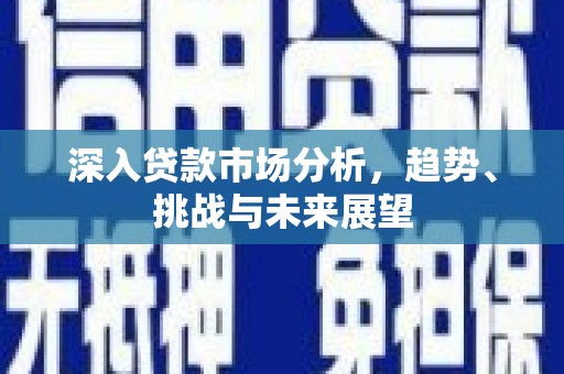 蒲县深入贷款市场分析，趋势、挑战与未来展望