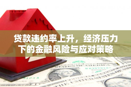 蒲县贷款违约率上升，经济压力下的金融风险与应对策略
