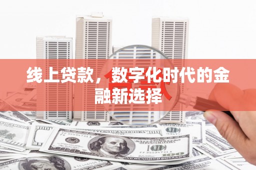 蒲县线上贷款，数字化时代的金融新选择