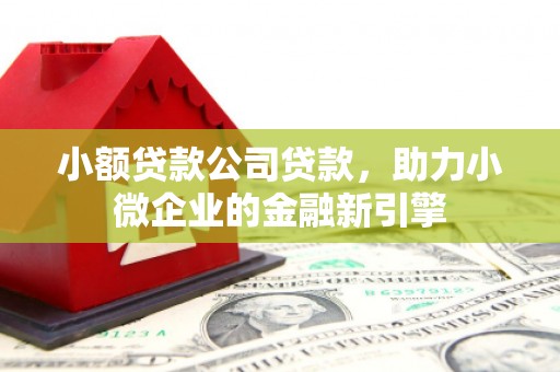 蒲县小额贷款公司贷款，助力小微企业的金融新引擎