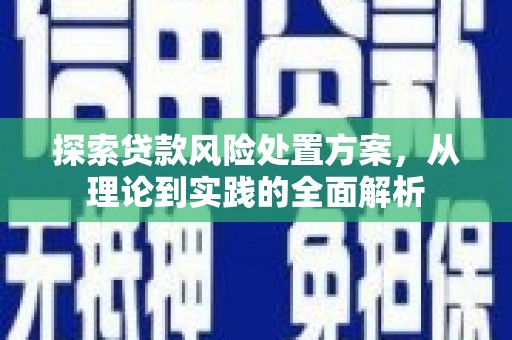 蒲县探索贷款风险处置方案，从理论到实践的全面解析