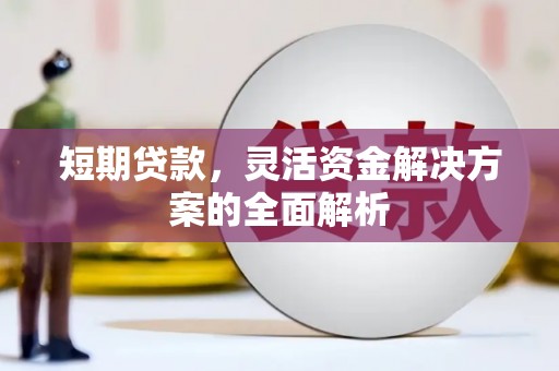 蒲县短期贷款，灵活资金解决方案的全面解析