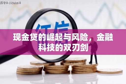 蒲县现金贷的崛起与风险，金融科技的双刃剑