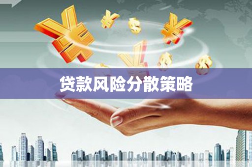 蒲县贷款风险分散策略