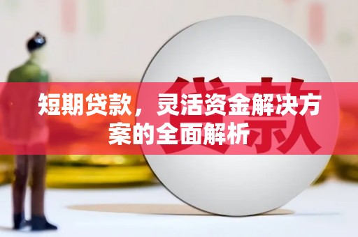 蒲县短期贷款，灵活资金解决方案的全面解析