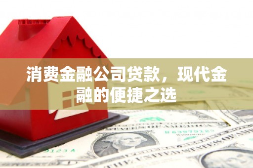 蒲县消费金融公司贷款，现代金融的便捷之选