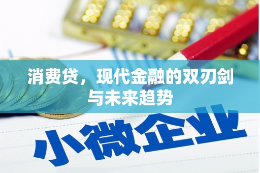 蒲县消费贷，现代金融的双刃剑与未来趋势