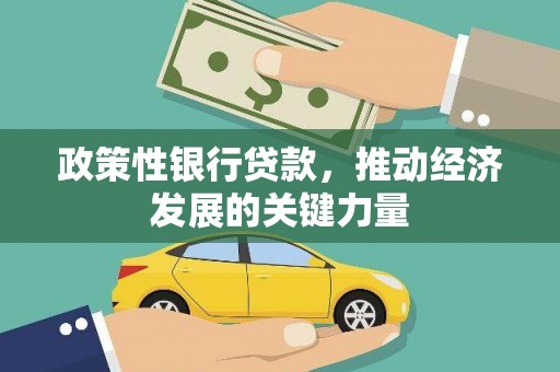 蒲县政策性银行贷款，推动经济发展的关键力量