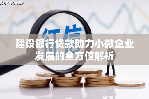 蒲县建设银行贷款助力小微企业发展的全方位解析
