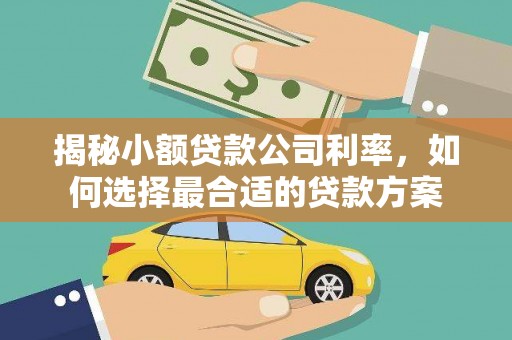 蒲县揭秘小额贷款公司利率，如何选择最合适的贷款方案