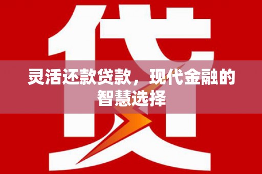 蒲县灵活还款贷款，现代金融的智慧选择