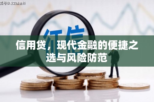 蒲县信用贷，现代金融的便捷之选与风险防范