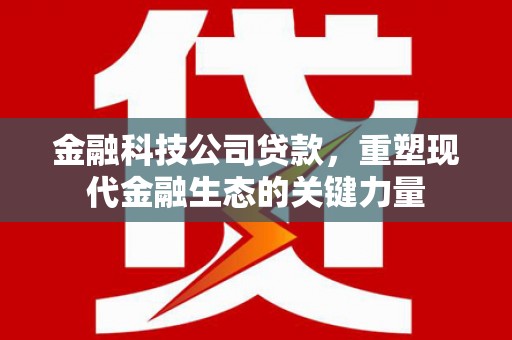 蒲县金融科技公司贷款，重塑现代金融生态的关键力量