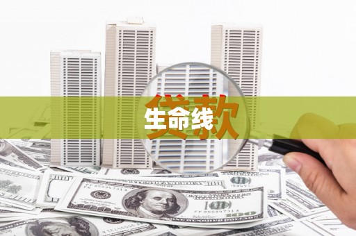蒲县生命线