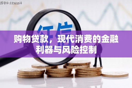 蒲县购物贷款，现代消费的金融利器与风险控制