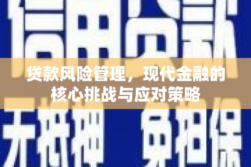 蒲县贷款风险管理，现代金融的核心挑战与应对策略