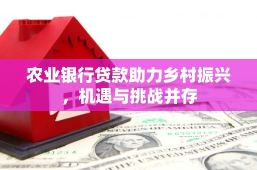 蒲县农业银行贷款助力乡村振兴，机遇与挑战并存