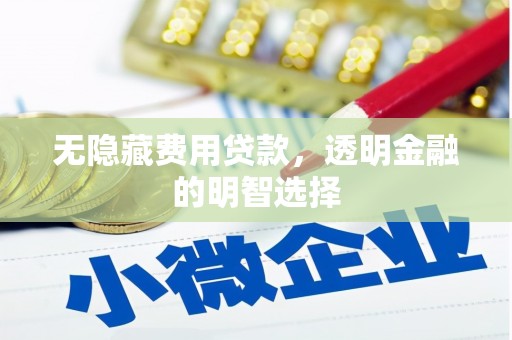 蒲县无隐藏费用贷款，透明金融的明智选择