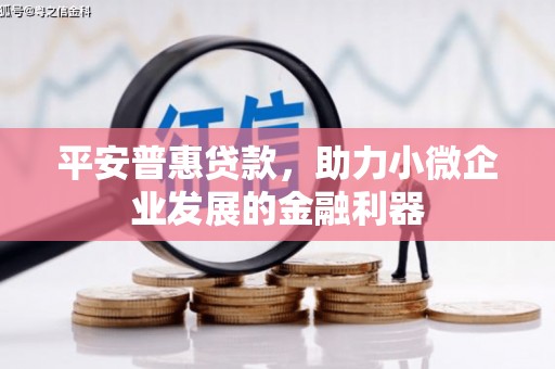 蒲县平安普惠贷款，助力小微企业发展的金融利器