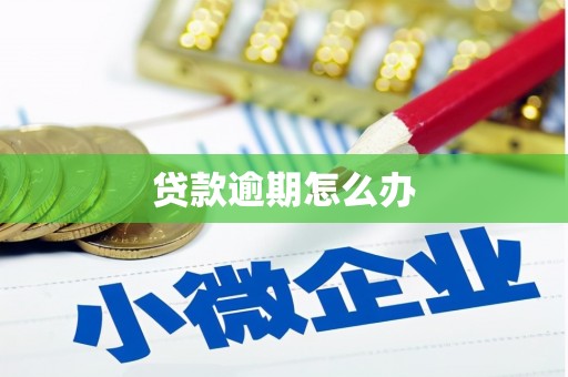 蒲县贷款逾期怎么办