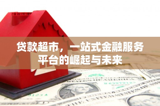 蒲县贷款超市，一站式金融服务平台的崛起与未来
