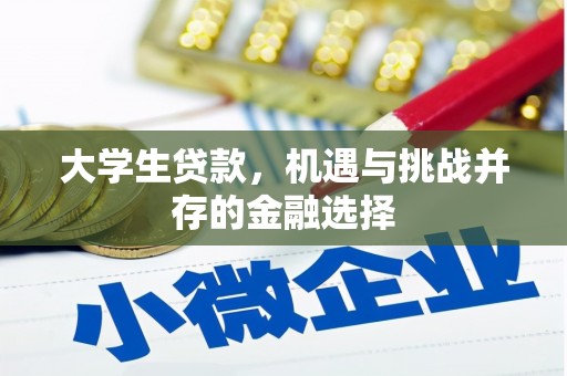 蒲县大学生贷款，机遇与挑战并存的金融选择