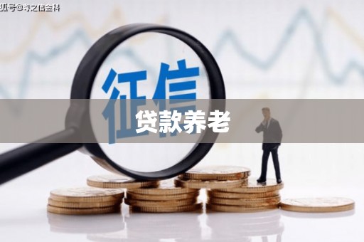 蒲县贷款养老