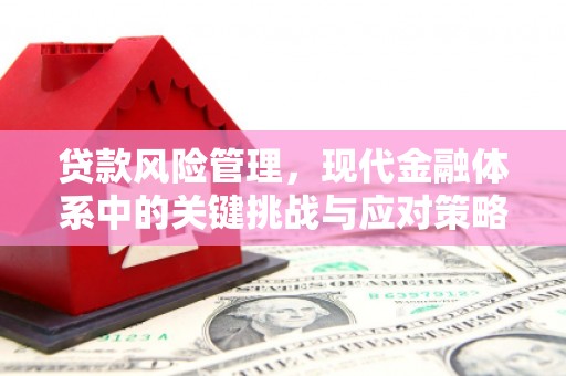 蒲县贷款风险管理，现代金融体系中的关键挑战与应对策略