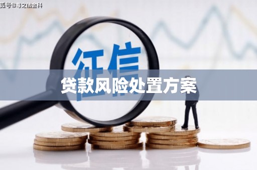 蒲县贷款风险处置方案
