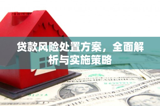 蒲县贷款风险处置方案，全面解析与实施策略